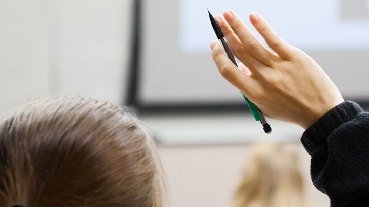 Student raises her hand in classroom.